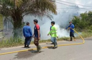 Lahan Di Depan SPBU Perusda terbakar, Disdamkarmat Segera Turun