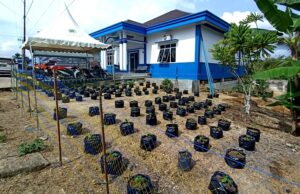 Ikuti Lomba Desa Tingkat Kabupaten, Desa Lemo II Bangun Lahan Tanaman Toga