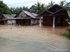 202 Rumah Warga di Balangan Terdampak Banjir