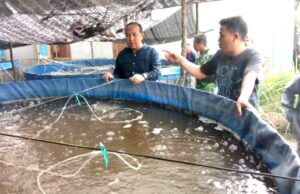 Legislator Ini Serahkan Kolam Bioflok Kepada Warga Baruh Bahinu