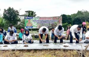 Petani Takkan Alami Kesulitan Dalam Pemasaran Cabe Rawit