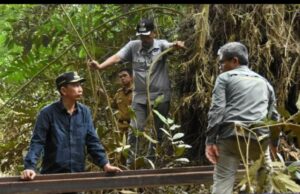 Bupati Barito Utara Tinjau Langsung Perbaikan Jembatan di Desa Pendreh Menuju Desa Lemo II