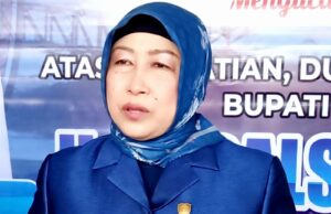 Ketua DPRD Barito Utara Apresiasi Penerapan SPBE