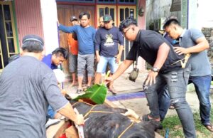 DPC Partai Demokrat Barito Utara Potong Tiga Ekor Sapi Kurban