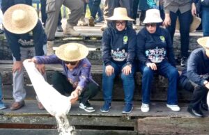 Pemkab Barito Utara Restocking 73 Ribu Benih Ikan di DAM Trinsing