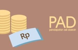 Ini Target SOPD Penghasil PAD Tahun Anggaran 2024 di Barito Utara