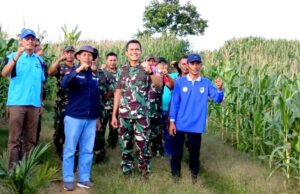 Dandim 1013 Muara Teweh dan Kadistan Barut Tinjau Lahan Jagung di Desa Mampuak