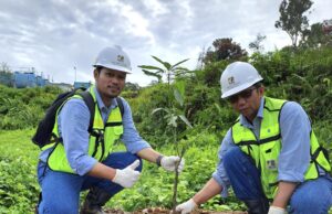 Peringati Bulan K3, PAMA Gelar Aksi Tanam Pohon