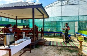 Penanaman Buah Melon di Greenhouse Kodim 1013 Muara Teweh Gunakan Sistem Hidroponik