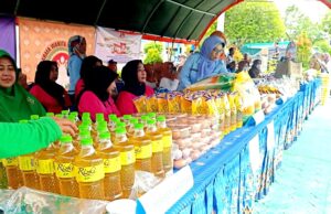 Salah Satu Tugas DKPP Barito Utara Adalah Melaksanakan GPM