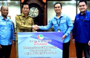 PT Bank Kalteng Cabang Muara Teweh Serahkan CSR Sembilan Ekor Sapi Kurban Kepada Pemkab Barito Utara