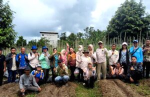 Dilahan Seluas 3 Hektar, Gapoktan Pusaka Bura Jingah Panen 200 Kg Tomat