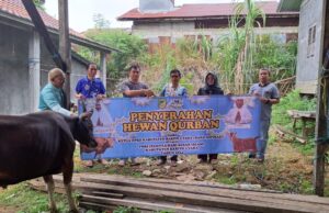 Ketua Dewan Serahkan Tiga Ekor Sapi Kurban ke Sekretariat DPRD Barito Utara