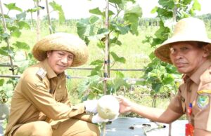 Panen Bersama Merupakan Dukungan dan Upaya Peningkatan Produksi