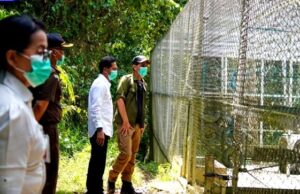Pj Bupati Barito Utara Kunjungi Konservasi dan Tempat Rehabilitasi Satwa Liar Endemik Kalimantan