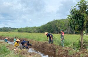 Kodim 1013 Muara Teweh Kawal Program Optimalisasi Lahan Rawa Di Wilayah Kabupaten Barito Utara