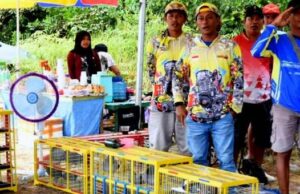 26 Tim Dari Seluruh Indonesia Ikuti Lomba Merpati Kolong Tingkat Nasional di Barito Utara