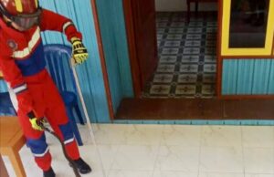 Tim Disdamkarmat Barito Utara Evakuasi Ular King Kobra di Rumah Warga