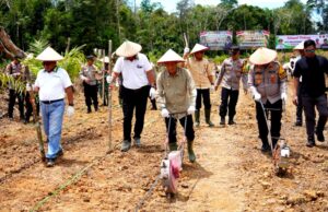 Pj Bupati Ajak Masyarakat Sukseskan Program Ketahanan Pangan Lewat Tanam Jagung di PT MPG