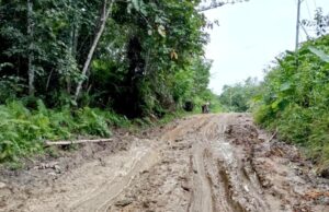 Kadis PUPR Tegaskan Penanganan Darurat Kerusakan Jalan Simpang 30 Segera Dilakukan
