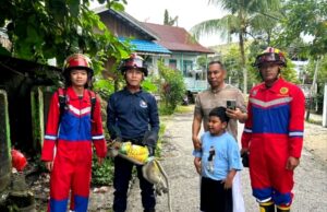 Disdamkarmat Barito Utara Evakuasi Monyet yang Dibuang di Tempat Sampah