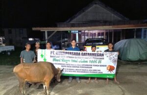 PT MPG Salurkan Hewan Kurban ke 9 Wilayah melalui Program CSR Idul Adha 2025