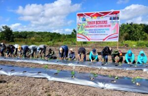 Pj Ketua TP PKK dan Dinas Pertanian Dorong Ketahanan Pangan Keluarga