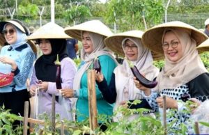 Pj Ketua TP PKK Barito Utara Ikut Tanam Buah di Palangka Raya: Dorong Kemandirian Pangan Keluarga