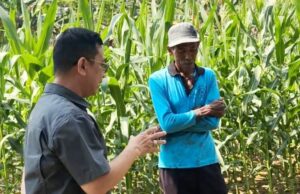 Ketua Komisi II DPRD Barut Turun ke Lapangan Serap Aspirasi Petani di Hari Tani Nasional