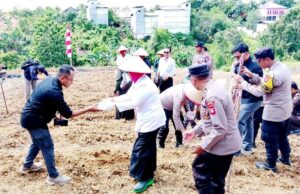 Tanam Jagung Serentak Wujud Komitmen Menuju Swasembada Pangan 2025