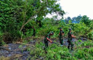 TNI dan Warga Desa Jamut Buka Lahan Pertanian Baru untuk Mewujudkan Ketahanan Pangan Nasional