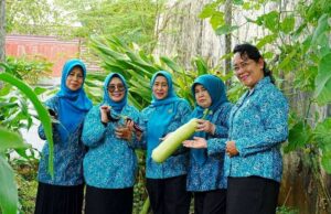Kebun PKK Barito Utara Perkuat Ketahanan Pangan dan Kemandirian Keluarga