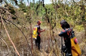 BPBD Barito Utara Berhasil Padamkan Karhutla di Jalan Pendreh