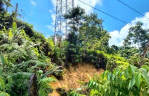 Pemkab Barito Utara Sigap Tanggapi Potensi Longsor Ancam Tower Telekomunikasi di Desa Sikui