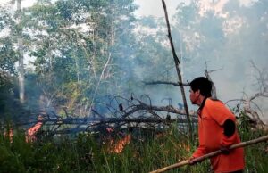 Karhutla di Desa Kandui Berhasil Dipadamkan, MPA Bergerak Cepat Cegah Meluasnya Api
