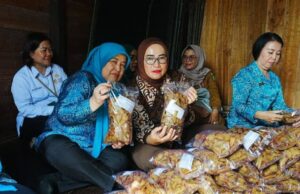 Ketua TP PKK Barito Utara Perkuat Komitmen Dukung Pemberdayaan UMKM di Daerah