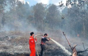 BPBD Barito Utara Tangani Dua Titik Karhutla, Total Lahan Terbakar Capai 1,9 Hektare