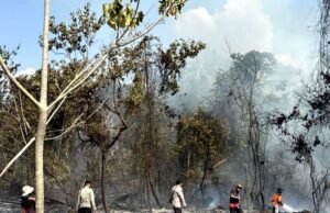 Karhutla Kembali Terjadi Di Barito Utara, Total Lahan Terbakar Capai 1,4 Hektar
