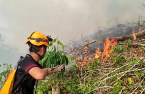 Respons Cepat BPBD Barut Padamkan Karhutla di Kelurahan Jambu, Lahan 0,9 Hektar Berhasil Diamankan