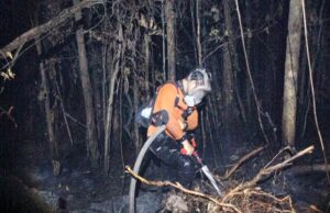 BPBD Barut Lanjutkan Pemadaman Kebakaran Hutan di Wilayah Observasi Yayasan Chanee Kalaweit